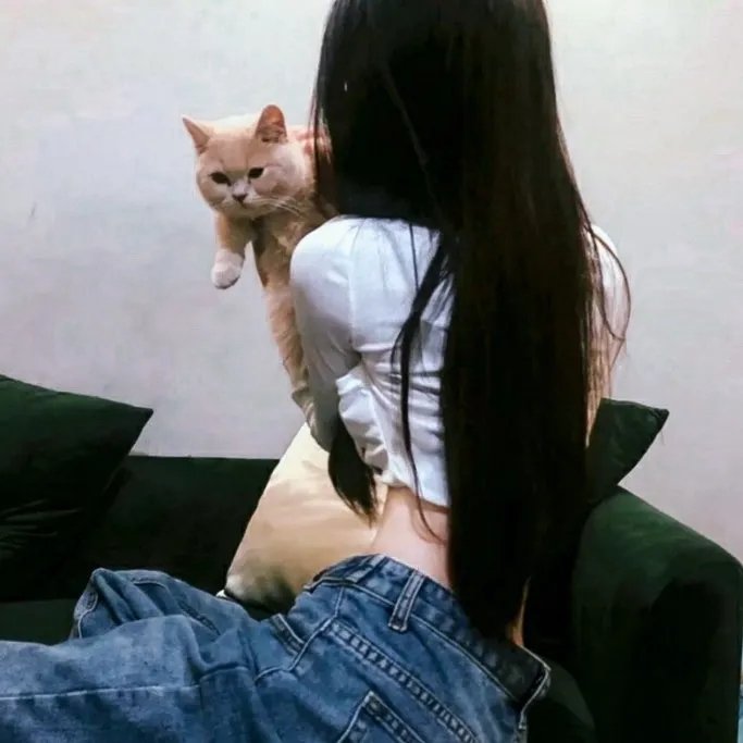 半妖少女绮丽谭