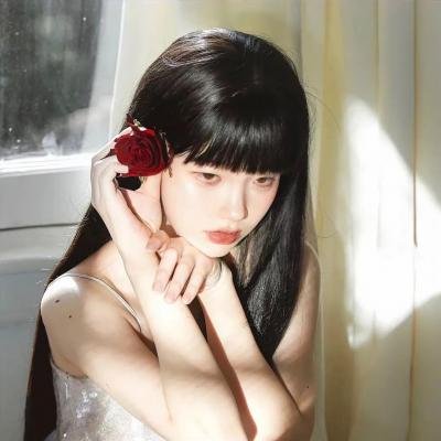 宝贝大盗